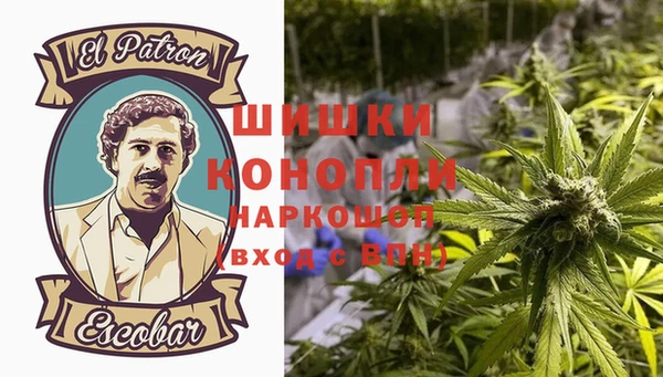 прущие крисы Абаза