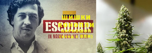 прущие крисы Абаза