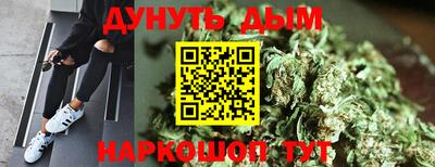 МДПВ Новокубанск