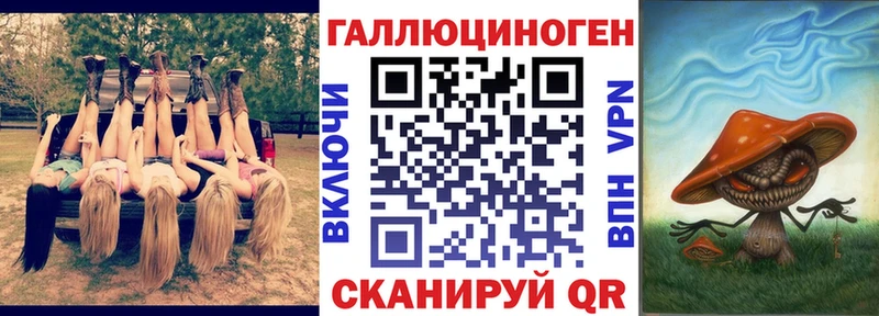 Псилоцибиновые грибы Psilocybine cubensis  Якутск 