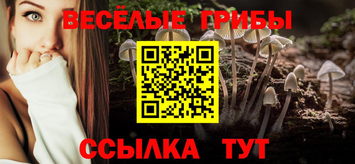 Якутск  Галлюциногенные грибы Magic Shrooms  Псилоцибиновые грибы Psilocybine cubensis  купить наркотик  Вход с VPN 