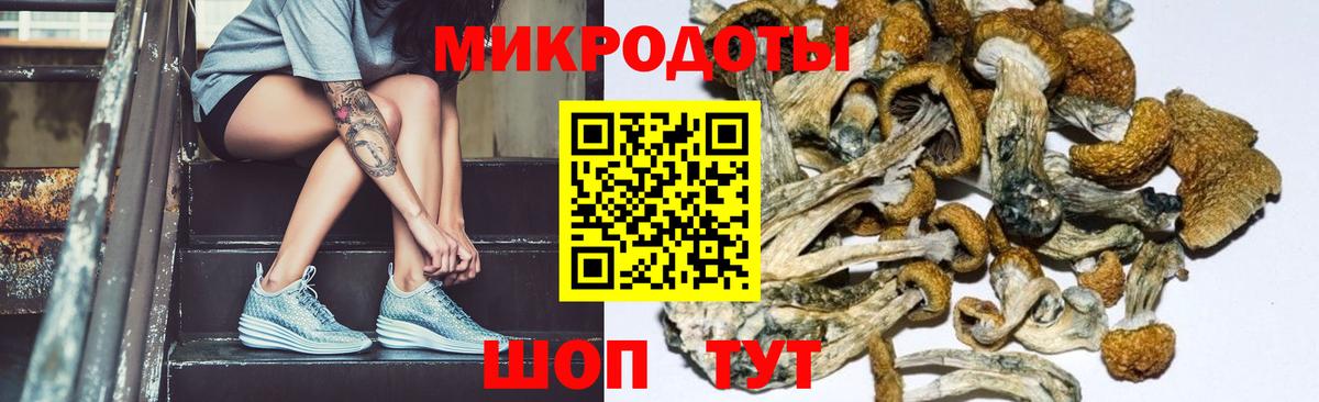 МЕФ Якутск